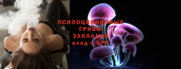 альфа пвп Краснослободск