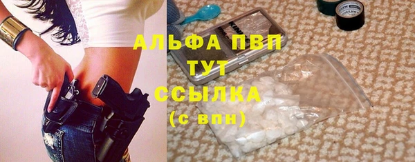 ECSTASY Кукмор