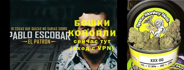 PSILOCYBIN Корсаков