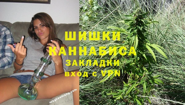 PSILOCYBIN Корсаков