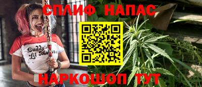 спиды Донской
