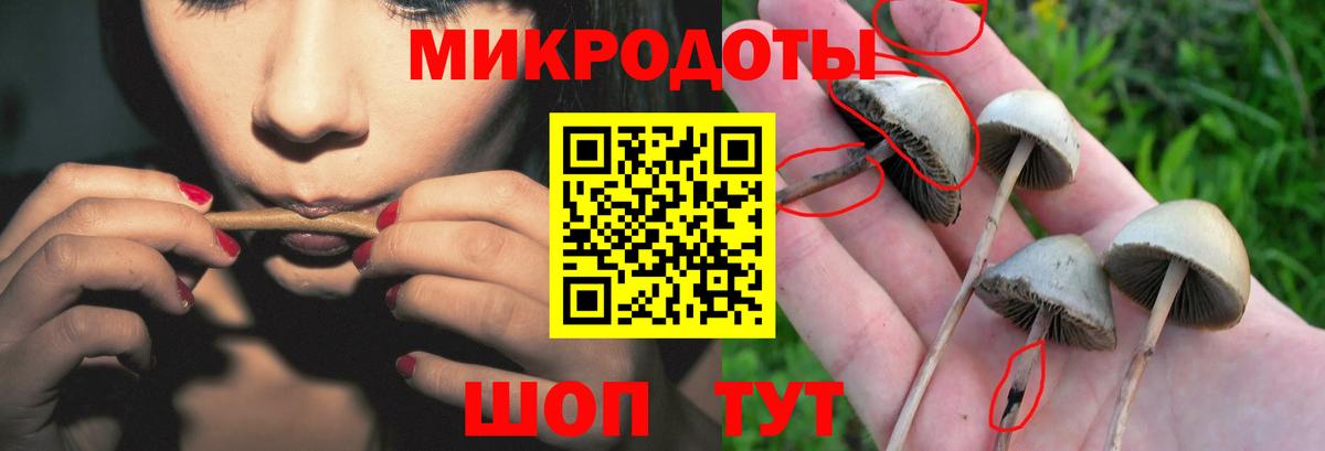 Псилоцибиновые грибы прущие грибы Михайловка