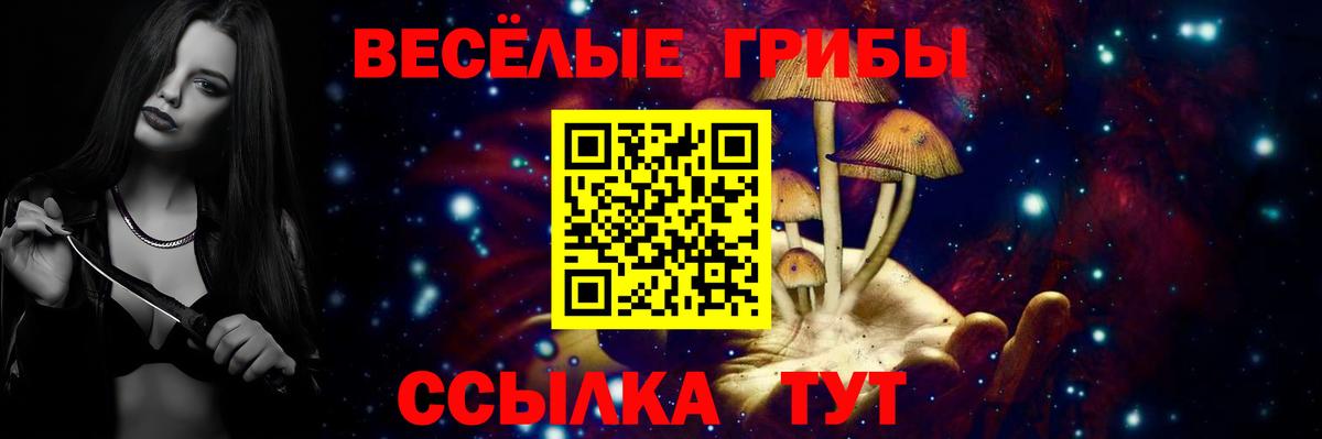 Михайловка  Галлюциногенные грибы Magic Shrooms  Вход с VPN 